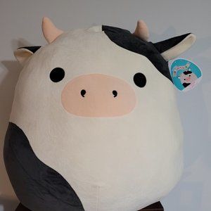 Squishmallow 24inch Connor BNWT